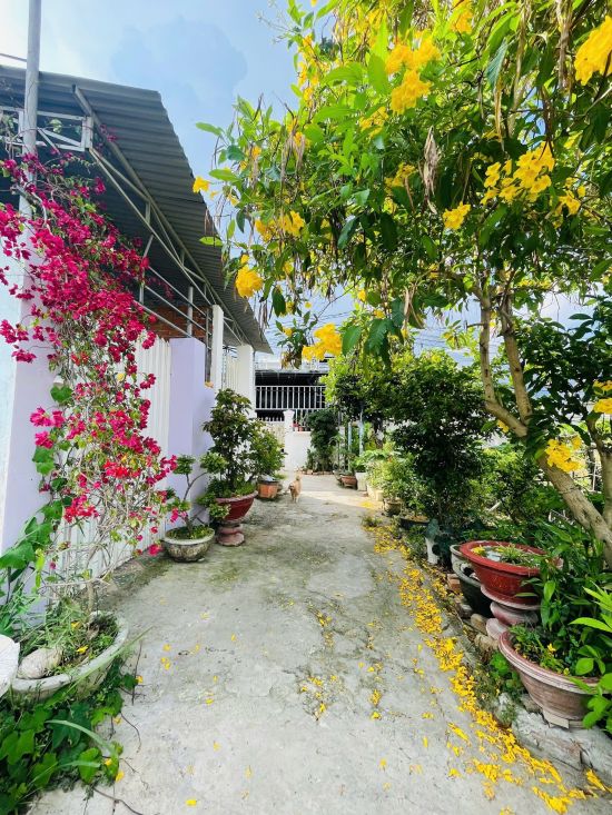 BÁN Ngay Lô đất Đẹp thuộc Vĩnh Hiệp phường Tây Nha Trang